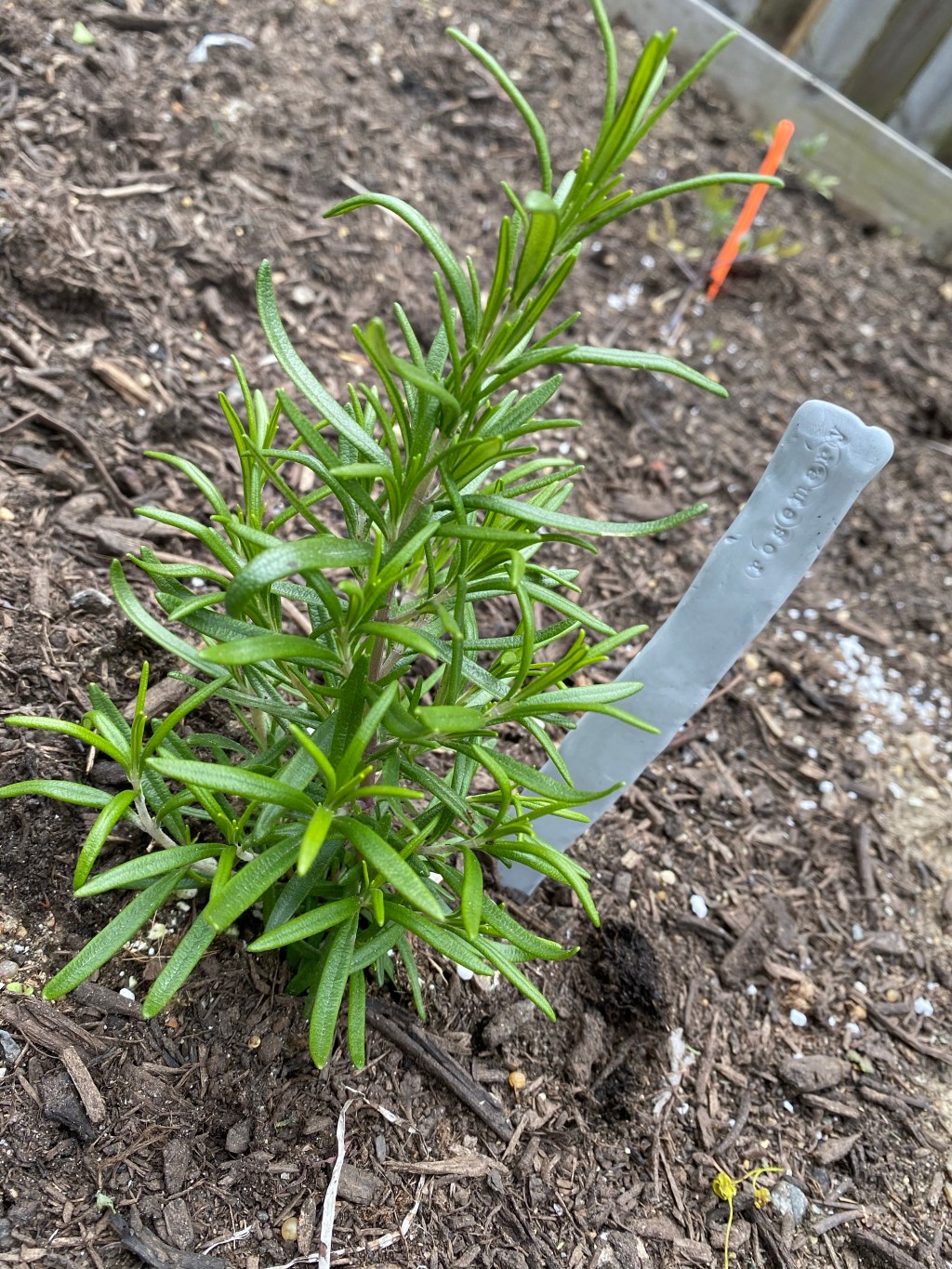 Garden Stakes / Plant&nbsp;Labels